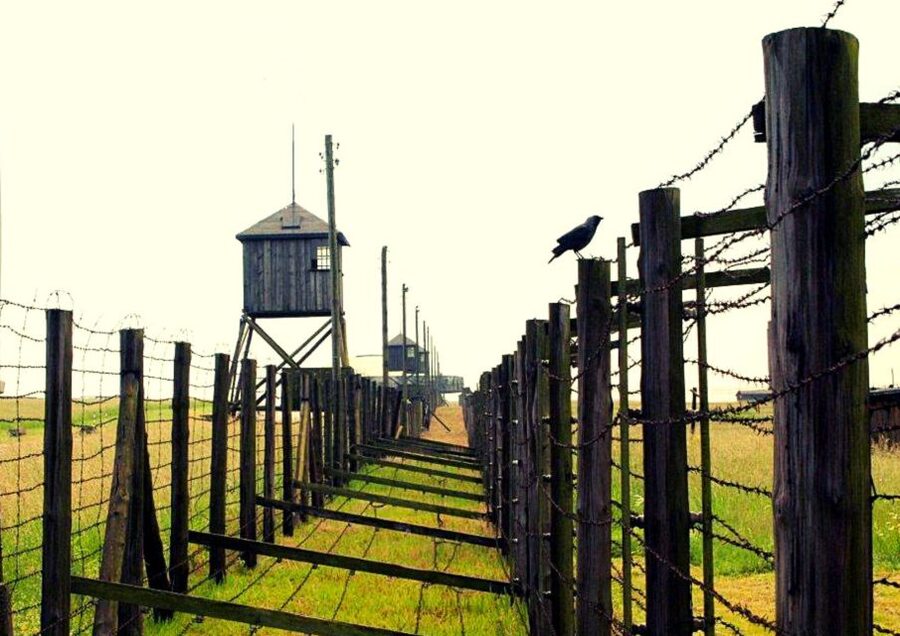 Lublin & Majdanek Small-Group Tour from Warsaw with Lunch - Small details that improve the day