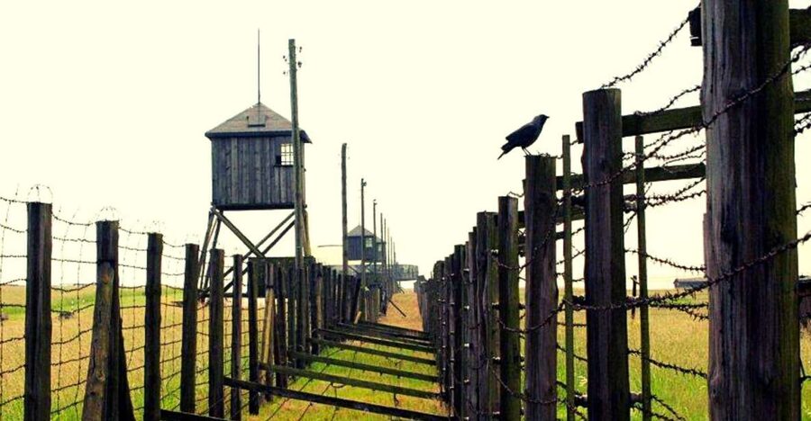 Lublin & Majdanek Small-Group Tour from Warsaw with Lunch - The ride from central Warsaw