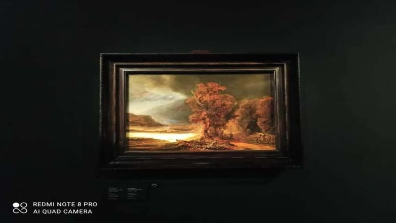 Museo Czartorisky : Visita in Lingua Italiana salta fila… - What happens during the two-hour visit