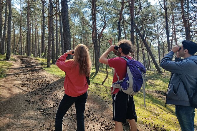 Nature Walk and Wildlife Tour in Sobieszewo Island - Five things to know before you book