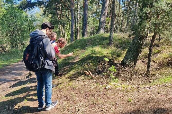 Nature Walk and Wildlife Tour in Sobieszewo Island - Why Sobieszewo Island makes a good wildlife escape