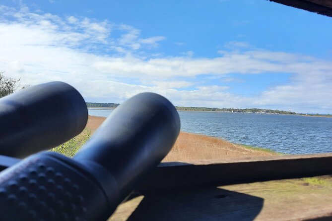 Nature Walk and Wildlife Tour in Sobieszewo Island - Stop two: The reserve’s best viewing platform