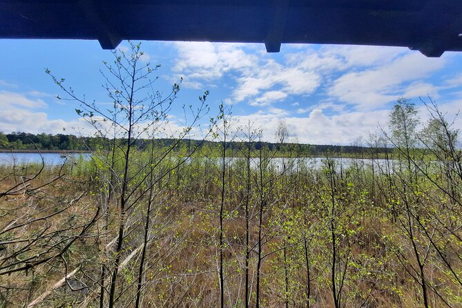 Nature Walk and Wildlife Tour in Sobieszewo Island - Stop five: Finishing near the reserve entrance