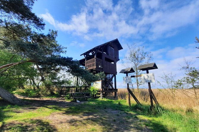 Nature Walk and Wildlife Tour in Sobieszewo Island - What the $67.43 price includes