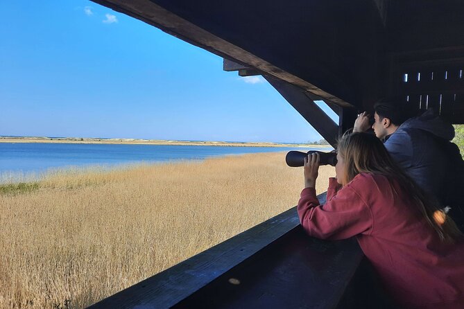 Nature Walk and Wildlife Tour in Sobieszewo Island - Starting at Nadwiślańska 133 at 9:30 am