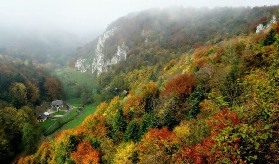 Ojcow National Park: Full-Day Trip from Krakow - Ojcow’s Gothic castle ruins