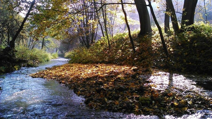Ojcow National Park: Full-Day Trip from Krakow - Pieskowa Skala and Hercules’ Club