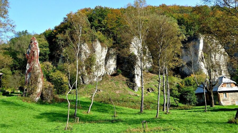 Ojcow National Park: Full-Day Trip from Krakow - The guide matters more than usual