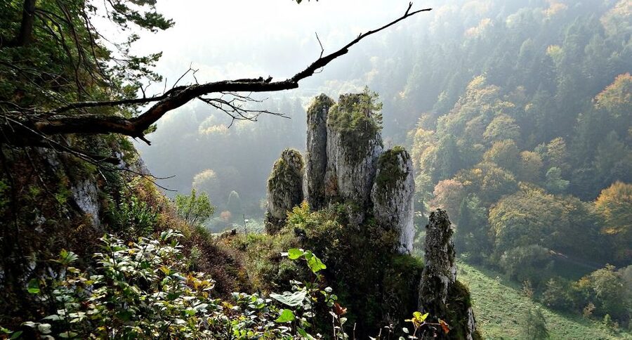 Ojcow National Park: Full-Day Trip from Krakow - Who should book this Ojcow excursion?