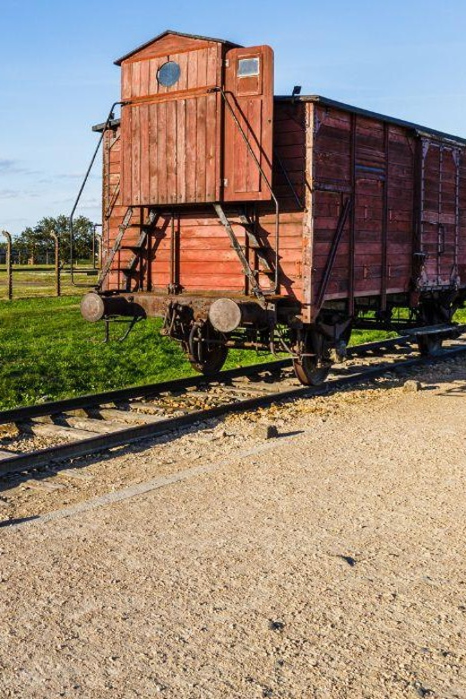 Prague: Tour to Auschwitz Birkenau - Who Will Appreciate This Tour Most?