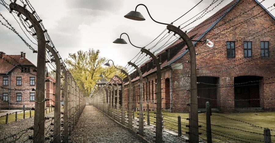 Prague: Tour to Auschwitz Birkenau - A Guided Visit That Keeps the Day Manageable