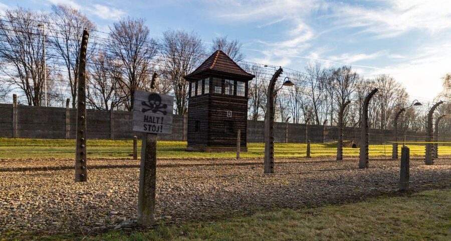 Prague: Tour to Auschwitz Birkenau - Is $601 Per Person Good Value?