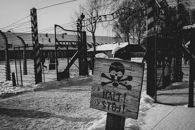 Private Guided Tour Auschwitz Birkenau with Transport from Krakow - Timing, waiting, and what to bring