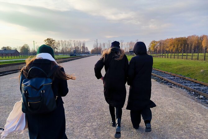 Private Guided Tour to Auschwitz & Birkenau from Krakow - Why private transport matters on this Krakow day trip