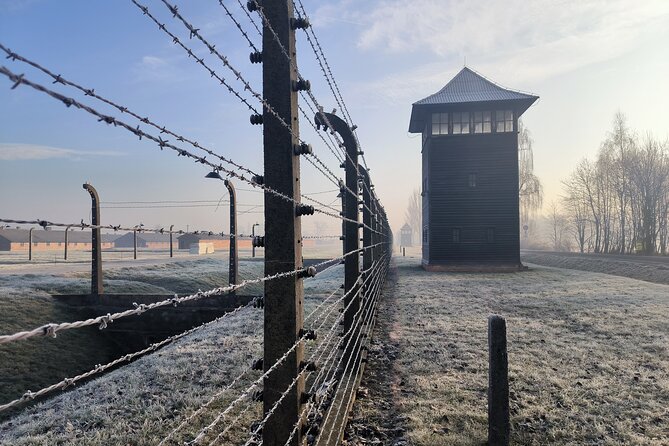Private Guided Tour to Auschwitz & Birkenau from Krakow - Who should book this experience?