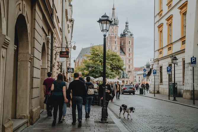 Private Tour of Krakow Old Town and Jewish Quarter in one walk - Collegium Maius and the quiet side of university history