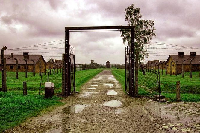 Private Tour to Auschwitz & Birkenau from Katowice - Seeing the scale of Birkenau