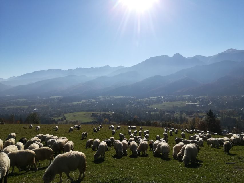 Rafting on Dunajec & Zakopane Tour – Day Trip from Krakow - The two-hour ride from Krakow to Pieniny