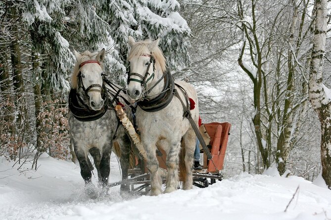 Sleigh Ride & Bonfire in Zakopane with Funicular - Private Trip - Key points at a glance
