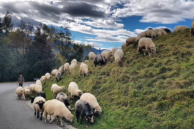 SLOVAKIA PRIVATE TOUR with ZAKOPANE - Why this private Krakow day trip works