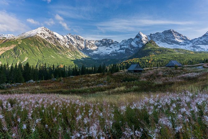 SLOVAKIA PRIVATE TOUR with ZAKOPANE - Zakopane center, from Krupowki Street to the old cemetery