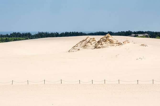 Slowinski National Park Private Tour - Why Slowinski National Park is worth the long outing