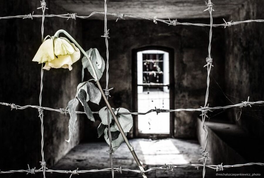 Stutthof Concentration Camp Half-Day Private Tour - The commander’s villa and the machinery of power