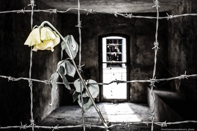 Stutthof Concentration Camp Private Tour from Gdansk - Why Stutthof matters