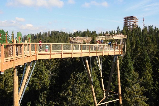 Treetop Walk in Slovakia and Thermal Baths from Krakow - Why this Krakow day trip works