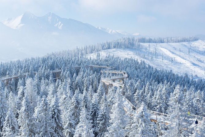 Treetop Walk in Slovakia and Thermal Baths from Krakow - Practical costs and timing