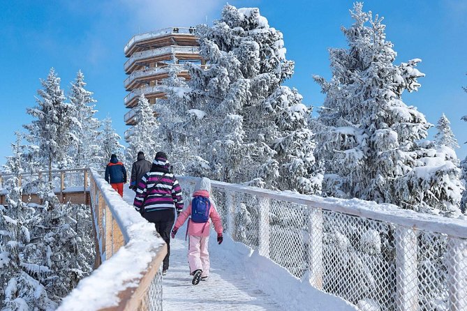 Treetop Walk in Slovakia and Thermal Baths from Krakow - Bachledka Treetop Walk and its Tatra views