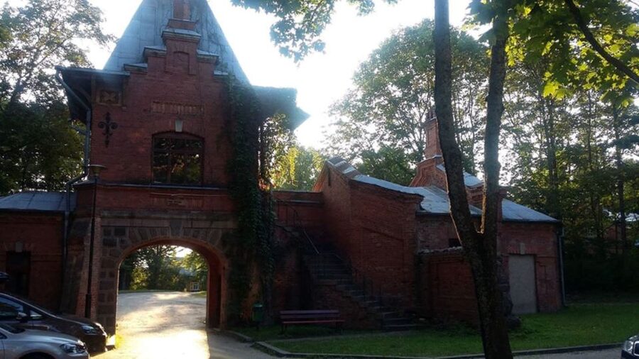 Warsaw: Bialowieza National Park and European Bison Tour - Three Hours Among Very Old Trees