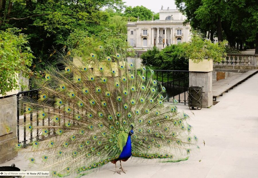 Warsaw City Full-Day Private Panoramic Car & Walking Tour - Lazienki Park, Chopin, and the Palace on the Water