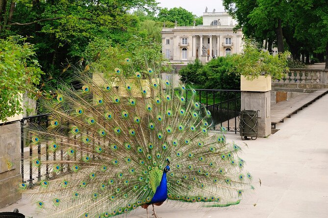 Warsaw City Tour - PRIVATE (4h) - The Tomb of the Unknown Soldier and the Royal Route
