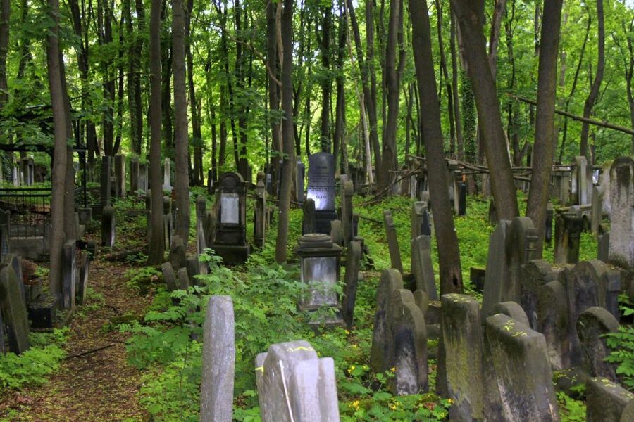 Warsaw Jewish Heritage Private Tour in Retro Fiat - Four hours of driving, walking, and conversation