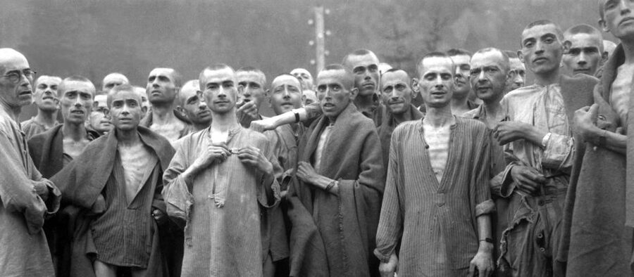 Warsaw: Majdanek Concentration Camp, Lublin Day Trip by Car - Choosing between the eight-hour and 12-hour options