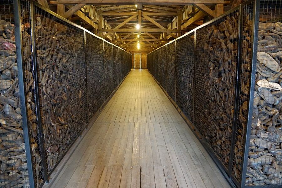 Warsaw: Majdanek Concentration Camp & Lublin Guided Day Tour - Who will appreciate this day most?