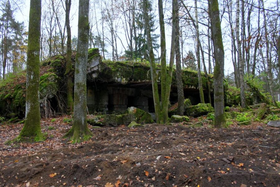 Warsaw: Private Full-Day Wolf's Lair Tour - Walking through the ruined bunkers