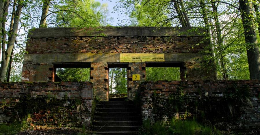 Warsaw: Private Full-Day Wolf's Lair Tour - A place of beauty and terrible decisions