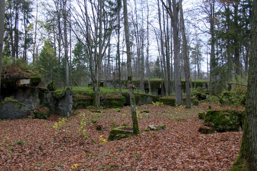 Warsaw: Private Full-Day Wolf's Lair Tour - Choosing your extra stop on the way back