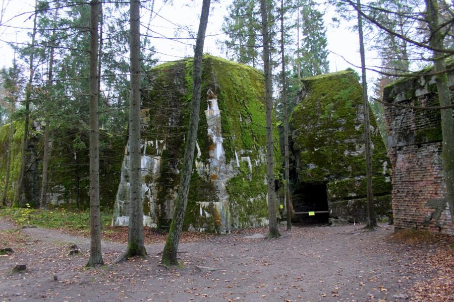 Warsaw: Private Full-Day Wolf's Lair Tour - The guide can make or break this experience