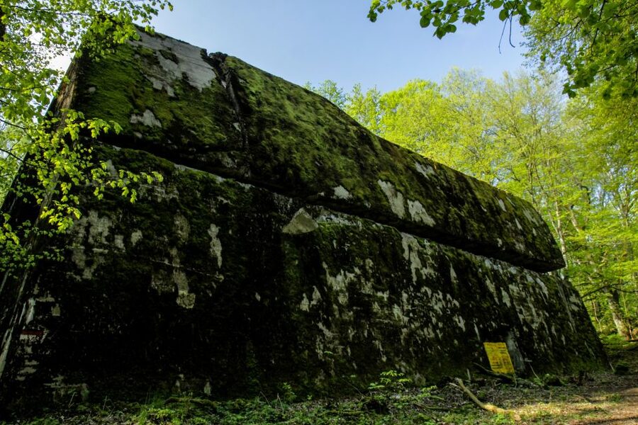 Warsaw: Private Full-Day Wolf's Lair Tour - The long road from Warsaw to Masuria