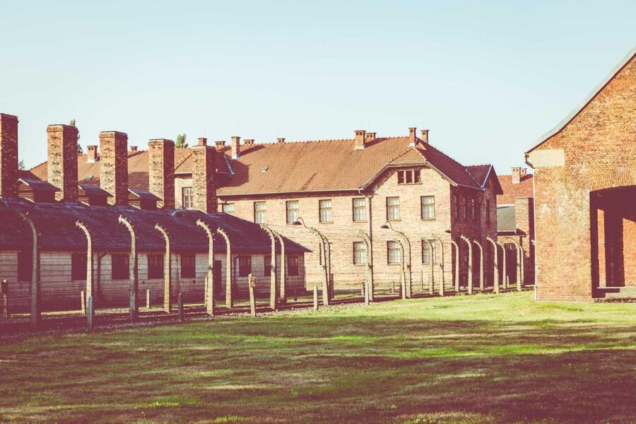 Warsaw to Auschwitz and Krakow Old Town Full-Day Trip by Car - The price and what you receive for $483