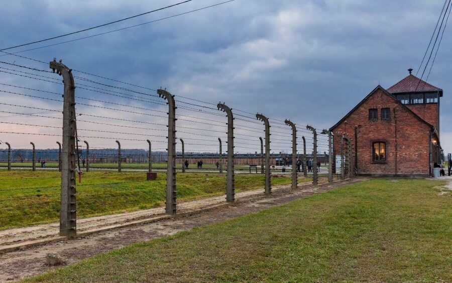 Warsaw to Auschwitz and Krakow Old Town Full-Day Trip by Car - Practical tips for making the day easier