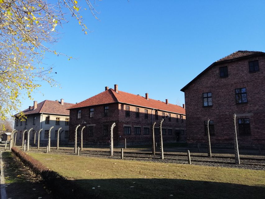 Warsaw: Tour to Krakow and Auschwitz by Train with Pickup - Why this day trip works from Warsaw