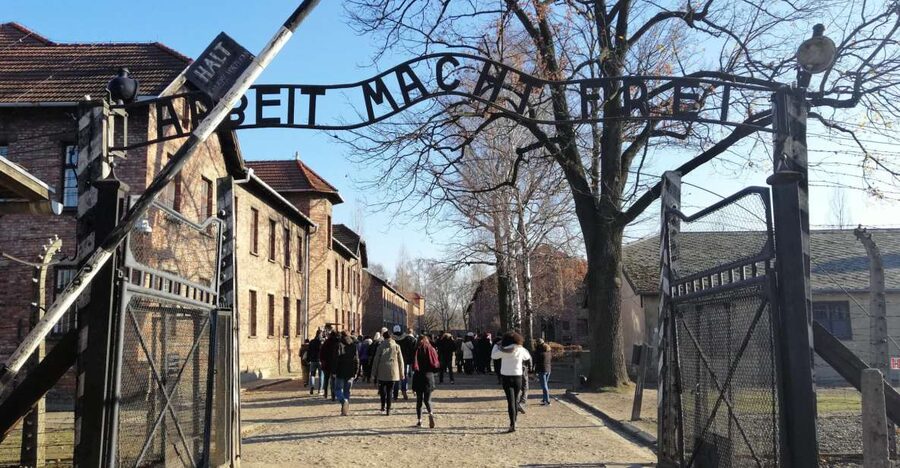 Warsaw: Tour to Krakow and Auschwitz by Train with Pickup - Who should book this tour?