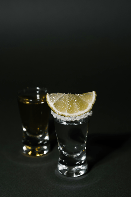 Warsaw: Vodka Tour - The tasting lesson: from grain to glass
