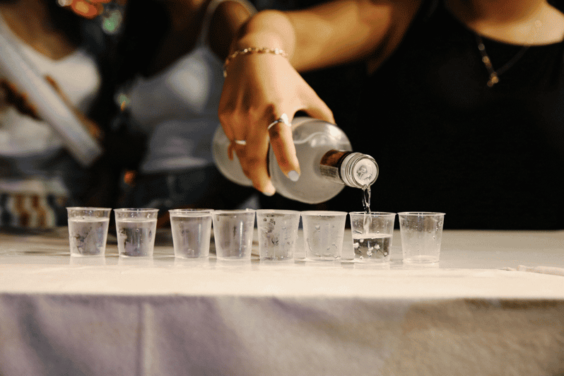 Warsaw: Vodka Tour - Walking through the Old Town area