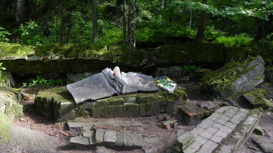 Warsaw Wolf’s Lair with St. Lipka and Mamerki Private Guided - Shoes, language, lunch, and timing