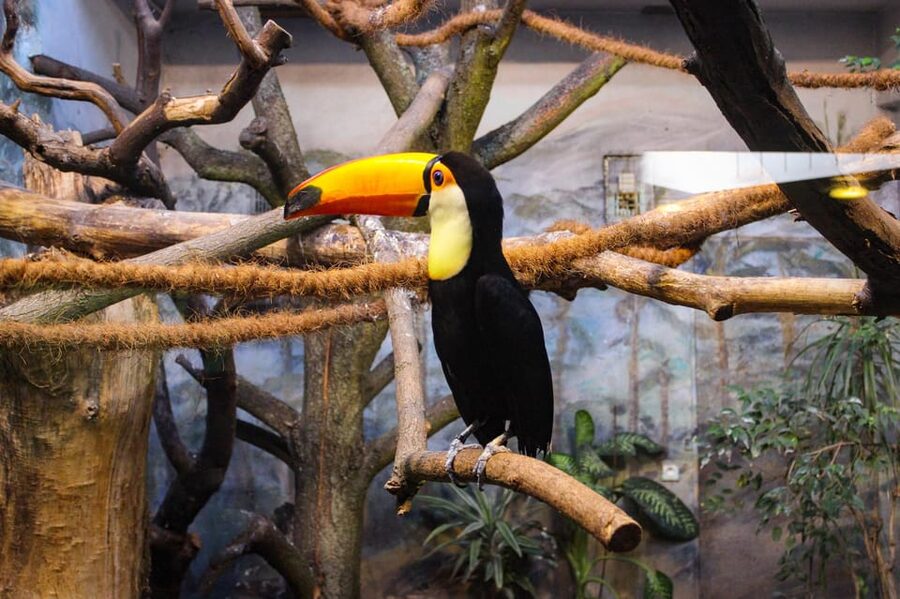 Warsaw Zoo Skip-the-Line Entry Ticket with Private Transport - Skip-the-line entry can save the best part of your day